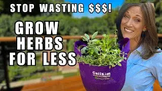 Grow Herbs Year-Round in 1 Container for Pennies - STOP Wasting Cash on Store Bought!