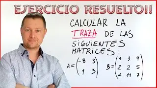 TRAZA DE UNA MATRIZ - EJERCICIO RESUELTO