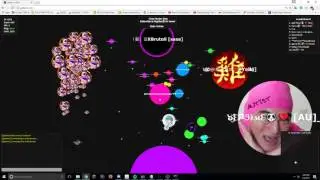 GOTA.IO BOTS | STREAMING EVERY DAY | WIN PROXY LISTS | TUTORIAL