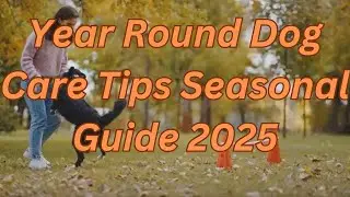 Year Round Dog Care Tips  Seasonal Guide 2025
