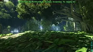 Rx 580 8 GB | Ryzen 7 1700 | Ark Survival Evolved