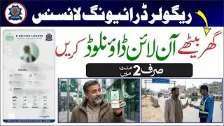 E-Driving Licence Punjab Pakistan | How to Download E-Licence Online from DLIMS