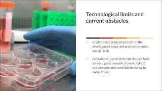 The Meat of the Future: Artificial Meat or Lab-Grown Meat