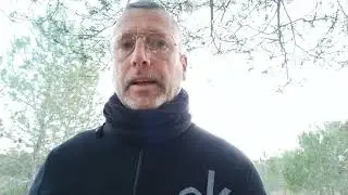 Consejos para que tu perro sobrelleve estas fallas