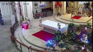 Transmisión Eucaristía Basílica de Lourdes   2024