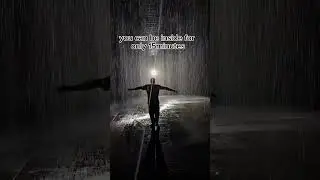 The Rain Room Sharjah
