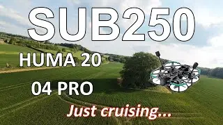 Sub250 Huma 20 with DJI 04 pro cinewhoop - just cruising!