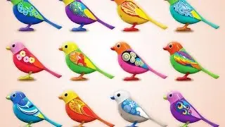 Игрушка DigiBirds (поющая птичка) DigiBird