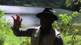 MATEMBEZI DZIYA LANDZE