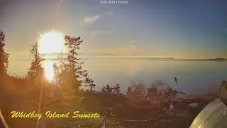 Whidbey Island Sunsets 12/31/2025 PM