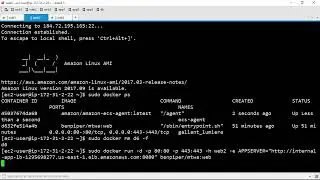 Using an Internal Load Balancer on AWS