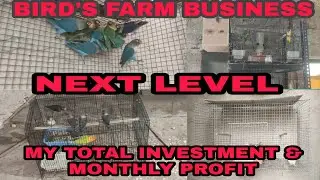 BIRD'S BUSINESS || NEXT LEVEL FARM UPDATE || MY TOTAL INVESTMENT & MY MONTHLY PROFIT FULL VIDEO .