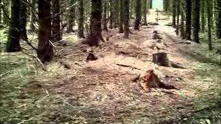loam life