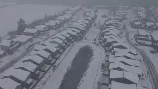 Garrett Delano Live Stream