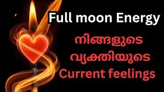 🌕  Full Moon Miracles ✨|Current Feelings🔮#malayalamtarot #astrology #1111divinejusticetarot
