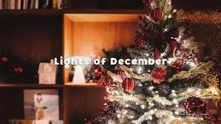 Lights of December | A Gentle Year-End Reflection Song