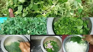  மழைக்காலத்தில் மட்டுமே கிடைக்கும் பொக்கிஷமுங்க