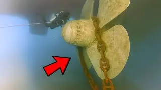 [Full Story] Diver Spots Chain Stuck on Propeller, What He Found on the Other End Froze Him!