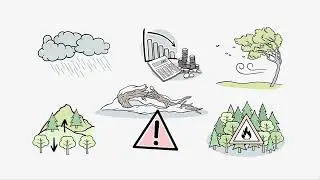 KLAR! Murtal KlimafitterWald
