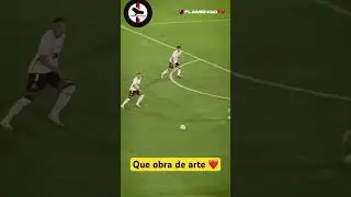 OBRA DE ARTE #flamengo
