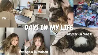 je deviens maman d&rsquo;un chat et d&rsquo;une frange (vlog)