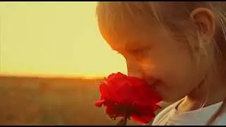 Splendour In The Grass Lyric Video