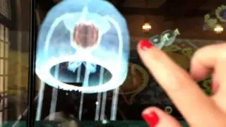 MiraViz