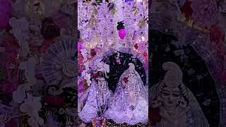 🥰❤️ #radheshyam #love @Bhajan marg @Sadhan path #vrajbhav #shyam #vrindavan #sharadpurnima