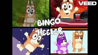 Bingo Heeler Remix 1