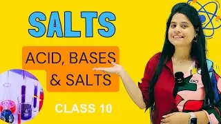 Salts - Sodium Chloride (NaCl) | Chapter 2 | Acid, Bases & Salts | Class 10 Science | NCERT