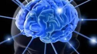 Neuropsicolog&iacute;a - Alexander Luria