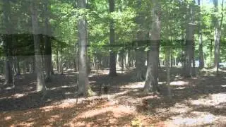 Lake Gaston Properties June 21st Release