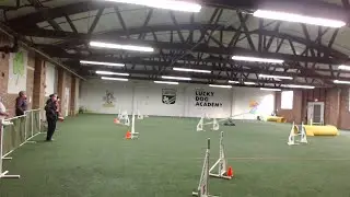 Lucky Dog CPE Agility Trial10-17-20