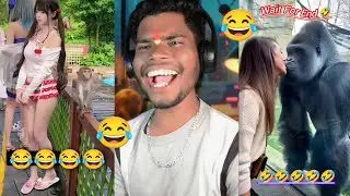Tom Holland React Viral Videos #tomholland #funny #trytolaugh #reaction #jokes #funnymemes #sandeep 