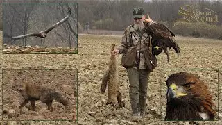 Hari Herak - Hunting with eagles - Fox -Fuchsjagd mit dem Adler