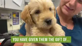 Thanks to YOU - from the animals at the Animal Rescue League