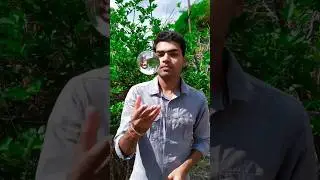Lens amazing Torch in Colourful Design😳 #shorts #viral #amazingvideo #experiment #lens #torch