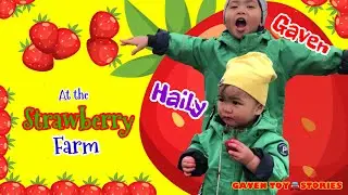 Gaven and Haily at the Strawberry Farm!🍓 | GAVEN TOY🚘STORIES