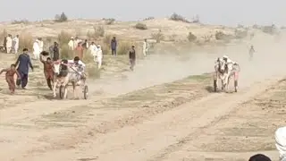 New Bull Race Check 19/15L mein channu Bill Saban Factory Wala Multan See 01/02/2020, part 1