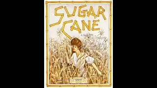 Sugar Cane Rag by Scott Joplin (1908, Ragtime Piano)
