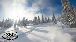 На одном дыхании - 360 VR Видео - Спуск на сноуборде сквозь сказочный лес