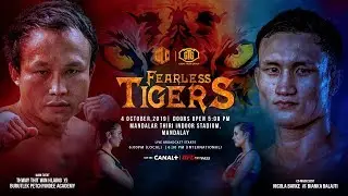 WLC: FEARLESS TIGERS Highlights
