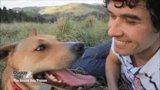 Best Dog Training Classes Minneapolis
