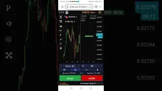 стратегия бинарных опционов UTE.LIMITED 308