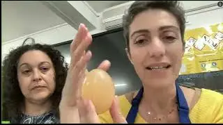 Webinar 