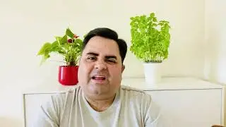 Diets do not work