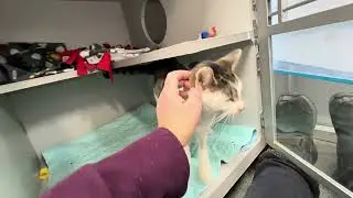 Matilda is the sweetest little gal