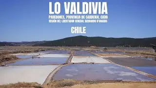 DONDE NACE LA SAL EN CHILE: LA HISTORIA VIVA DE LO VALDIVIA