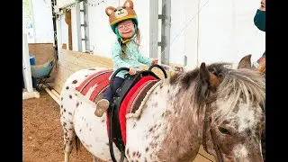 Hearts & Hooves Event at Karin's Horse Connection: Therapeutic Riding & Adaptive Vaulting