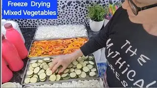 Freeze Drying Mixed Vegetables Using Harvest Right Freeze Dryer